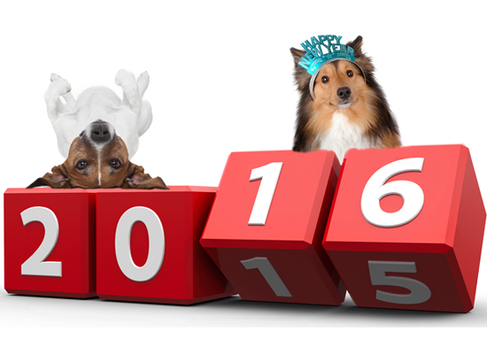 Year End Wrap Up on Pet Life Radio
