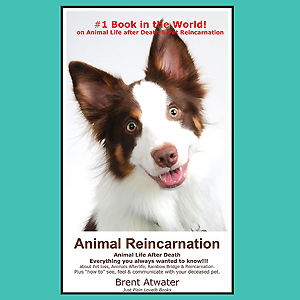 Alive Again on Pet Life Radio