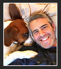 Andy Cohen  on Pet Life Radio