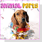 pet podcast - The Animal Party - join the party with your pets!