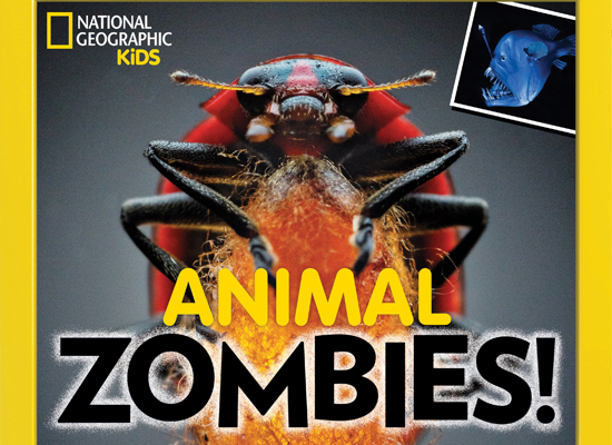 Animal Zombies on Pet Life Radio