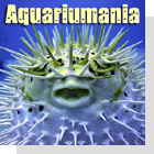 pet podcast - Aquariumania - all about tropical fish