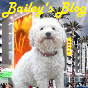 Bailey's Blog  on Pet Life Radio