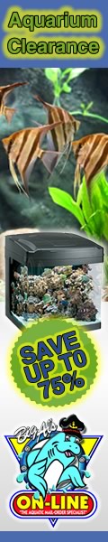 Aquarium Clearance! Save Up to 75%!
