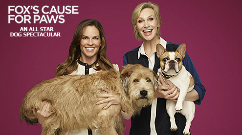 Fox's Cause For Pause with Jane Lynch  on Pet Life Radio