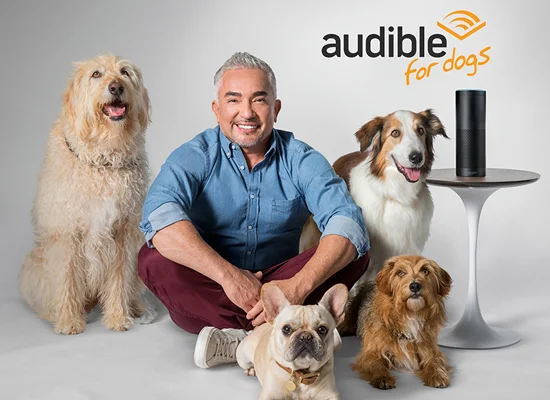 Cesar Millan Introduces Audible for Dogs: The Solution to Separation Anxiety on Pet Life Radio