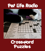 Play our interactive crossword puzzles!