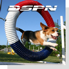 pet podcast - DSPN - Dog Sports & Performance Network
