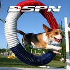 DSPN - The Dog Sports