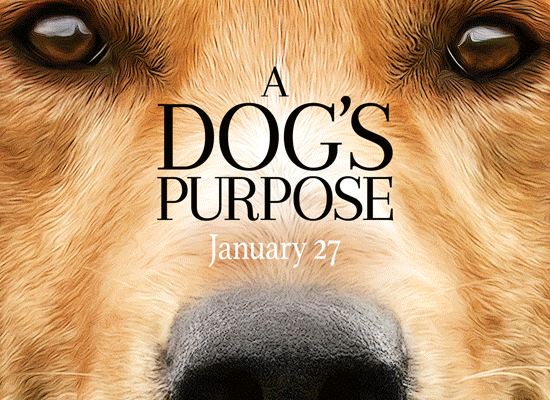 A Dog's Purpose on Pet Life Radio
