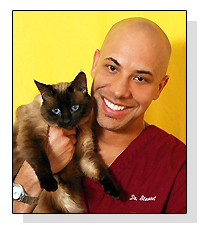 pet radio stewart kwane dr