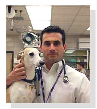 Dr. Mark Acierno on Pet Life Radio 