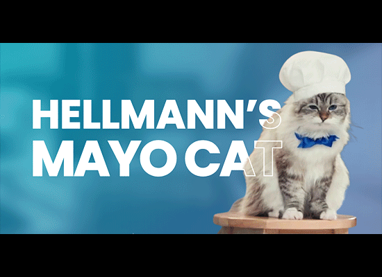 Mayo Cat – an 8-month-old cat actor known as Chipmunk when the cameras are off. Hellmann’s has also hinted that Mayo Cat is the next rising star in Hollywood, thanks to their talents seen in the Big Game on Pet Life Radio