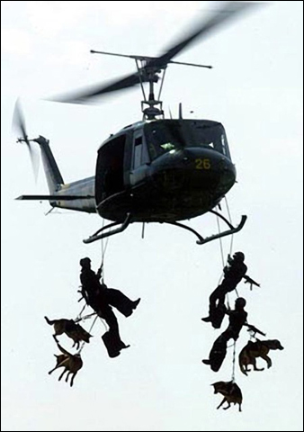 Military Dogs on Pet Life Radio