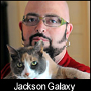 Jackson Galaxy on Oh Behave on Pet Life Radio