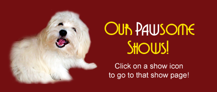 Our Pawsome Pets Shows on Pet Life Radio!