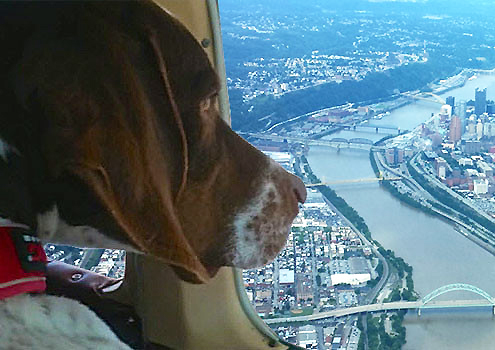 Pittsburg Aviation Animal Rescue Team  on Pet Life Radio