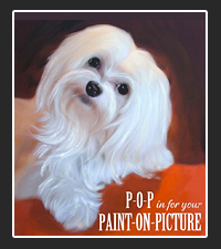 Paint-on-Picture on Pet Life Radio