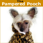 The Pampered Pooch - Dogs are not our whole life, but they make our lives whole - Pets & Animals on Pet Life Radio (PetLifeRadio.com)