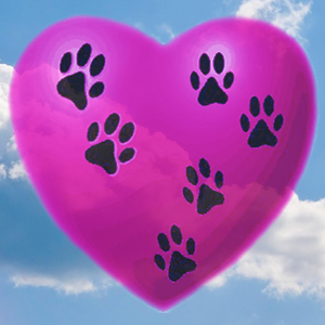 Paw Prints On My Heart on Pet Life Radio