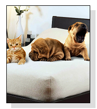 PawsOff Protective Bed Cover  on Pet Life Radio