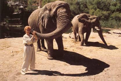 Peggy McCay and Elephant