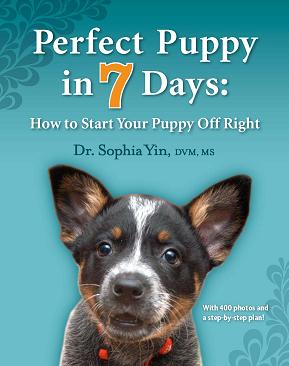 Perfect Puppy in 7 Days on Pet Life Radio