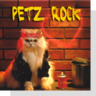 pet podcast - pets