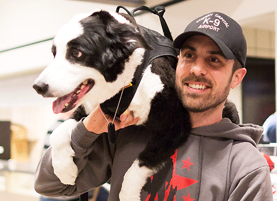 Airport Dog Piper on Pet Life Radio