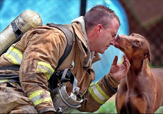 Rescue Dogs of 9/11