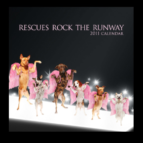 Rescues Rock The Runway on Pet Life Radio