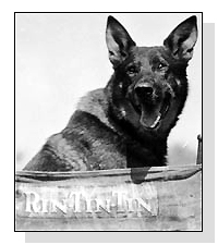 Rin Tin Tin on Pet Life Radio