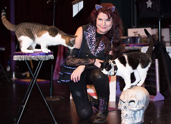 Amazing Acrocats on Pet Life Radio