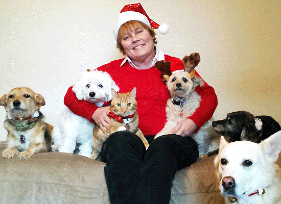 Arden Moore's Top 10 holiday pet products  on Pet Life Radio