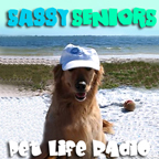 Sassy Seniors - Celebrating Senior Pets - Pets