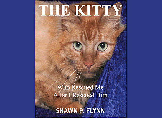 The Kitty: Who Rescued Me After I Rescued Him on Pet Life Radio
