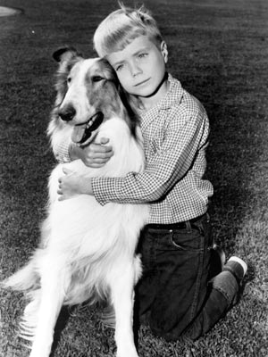 Timmy and Lassie