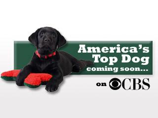 America's Top Dog on CBS-TV