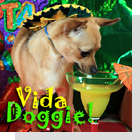 pet podcast - Vida Doggie-  All about latin animals and pets