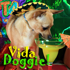 Vida Doggie - Start you and your dog’s day with a little Latin Flavor.    It’s one Spicy show - Pets