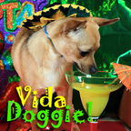 PetLifeRadio.com - Vida Doggie - Start you and your dog’s day with a little Latin Flavor. It’s one Spicy show - Pets & Animals on Pet Life Radio