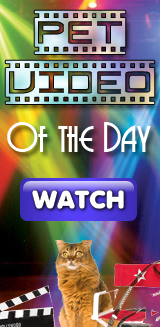 Watch the Pet Life Radio Video of the Day