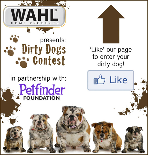 Dirty Dogs Contest on Pet Life Radio