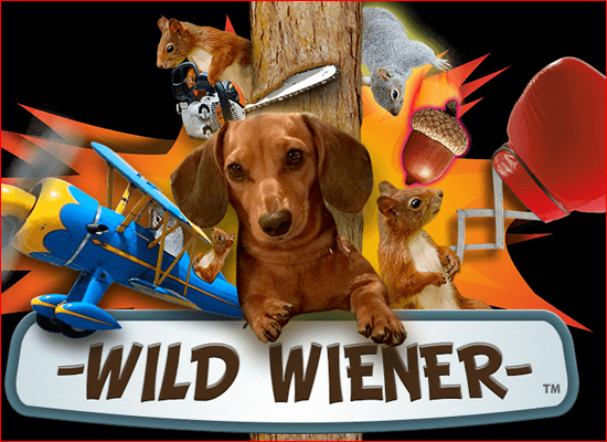 How Lucy, the Dachshund, Inspired the Addictive Mobile Game Wild Wiener by Christian Savalas on Pet Life Radio