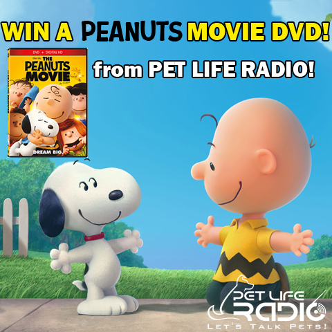Win a Peanuts Movie DVD from Pet Life Radio!