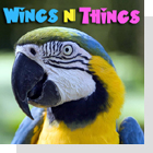 Wings 'n Things-Birds as pets