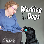 Working Like Dogs - Service Dogs and Working Dogs  - Pets