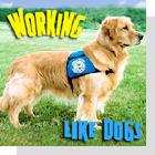 pet podcast - Working Like Dogs -  All about service dogs