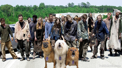 Are You Ready for the Zombie Apocalypse on Pet Life Radio?