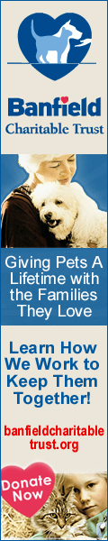 Buy 1 Spot Shot And Receive $5.00 off Marley& Me Tickets!